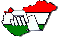 Választás